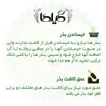 بذر چای ترش گیلدا کد 165