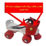 اسکیت کفشی مدل چهارچرخ به همراه کلاه و لوازم ایمنی و کیف قابل حمل