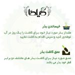 بذر صیفی جات گلدانی گیلدا کد 094 مجموعه 10 عددی