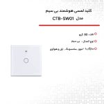 کلید لمسی هوشمند بی سیم مدل CTB-SW01