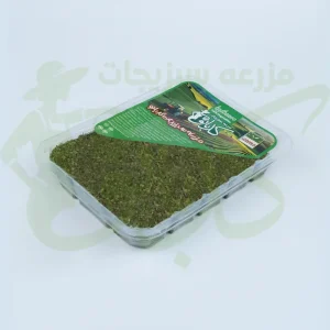 نعنا خشک کدبانو