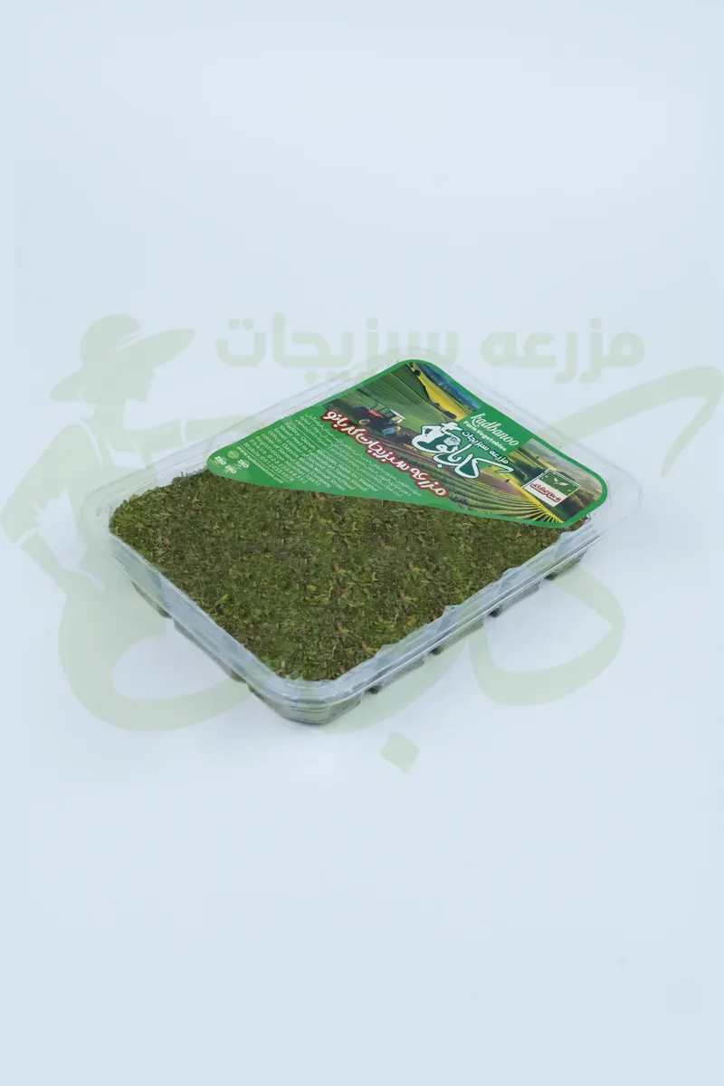 نعنا خشک کدبانو