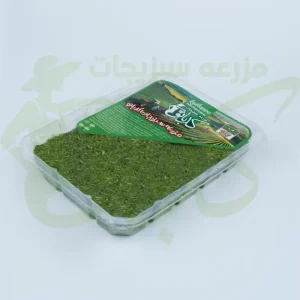 جعفری خشک کدبانو
