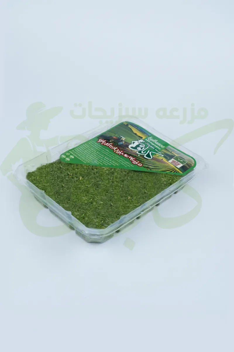 جعفری خشک کدبانو