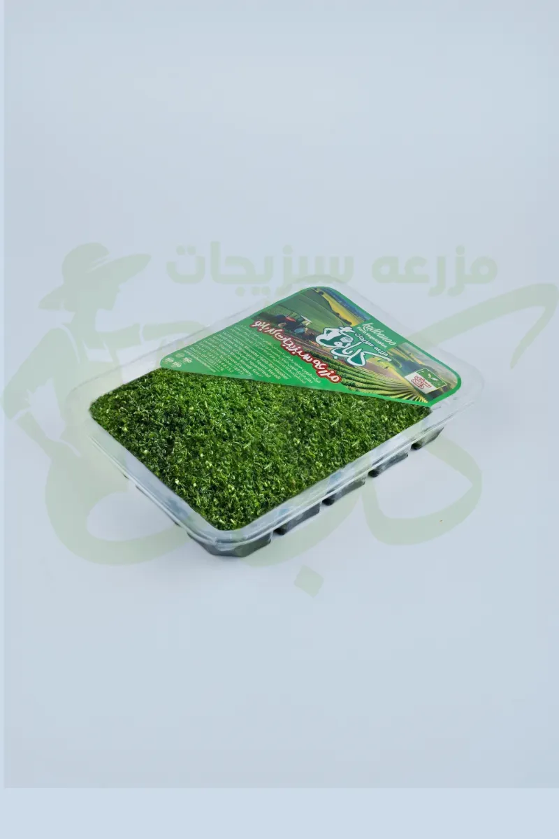 سبزی دلمه کدبانو