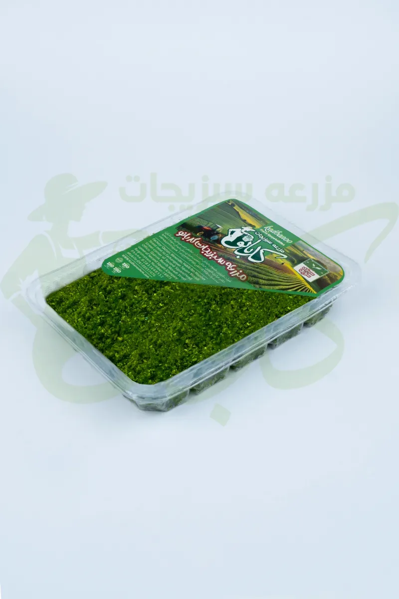 سبزی سوپی کدبانو