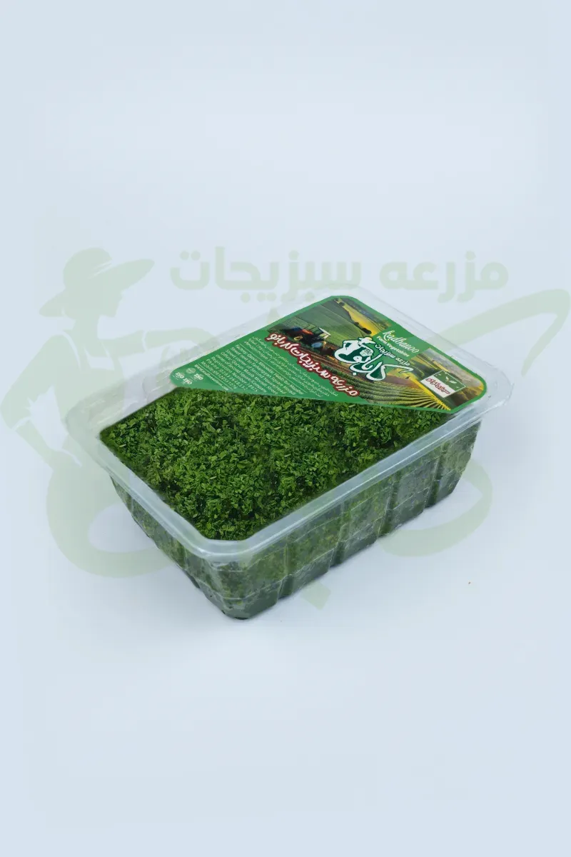 سبزی کوکو سیر دار کدبانو