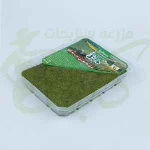 شوید خشک کدبانو