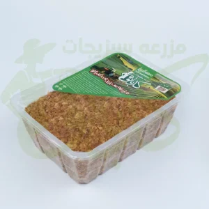 پیازداغ نگینی کدبانو