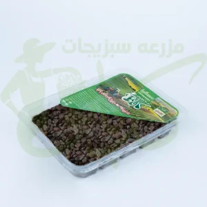 کشمش کدبانو