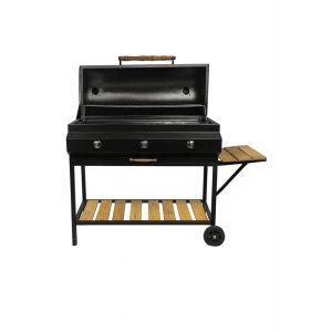 باربیکیو گازی مدل B100-R1