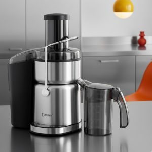 غذاساز چندکاره ۸۰۰ وات دسینی مدل DS171