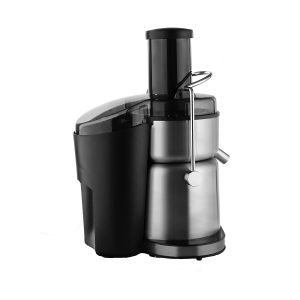 غذاساز چندکاره ۸۰۰ وات دسینی مدل DS 172