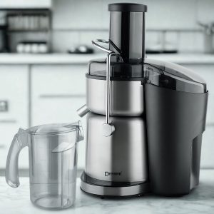 غذاساز چندکاره ۸۰۰ وات دسینی مدل DS 172